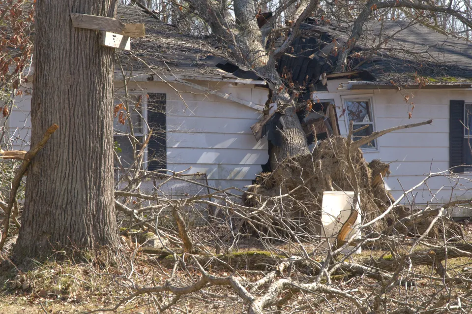 An uprooted tree rests across the damaged roof of a home after Alabama tornadoes